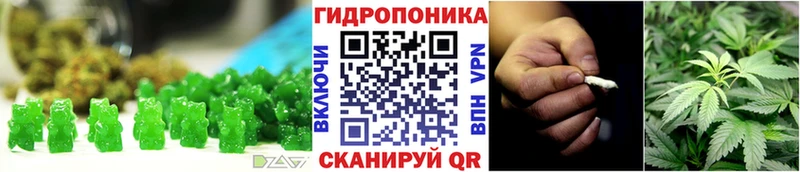 Купить закладки  Канск  Cannafood марихуана 