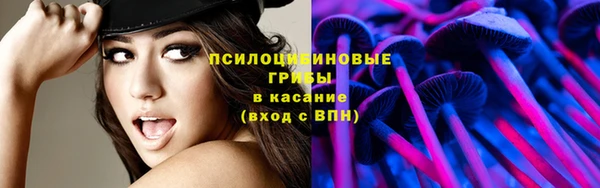 бутират Козловка