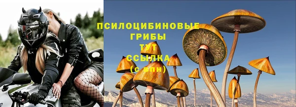 бутират Козловка