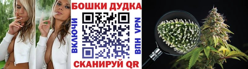 Купить  Канск  Бошки марихуана семена 
